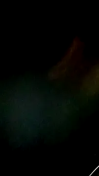 Davig4 Image 12