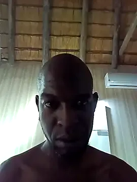 Fizozoo's Thumb Image