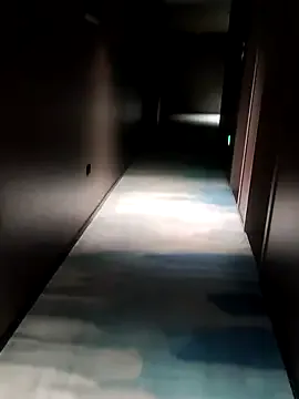 guozuo Image 2