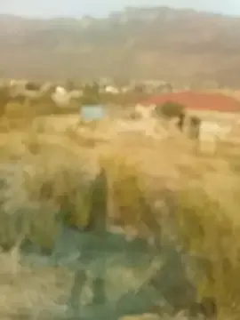 Pnice Image 11