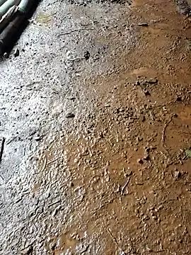 vichuhot Image 2